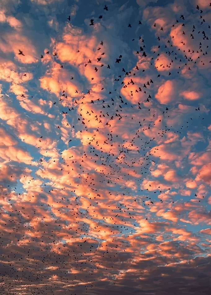 Fresh sunset 2