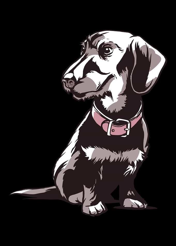 Hunting dog gift