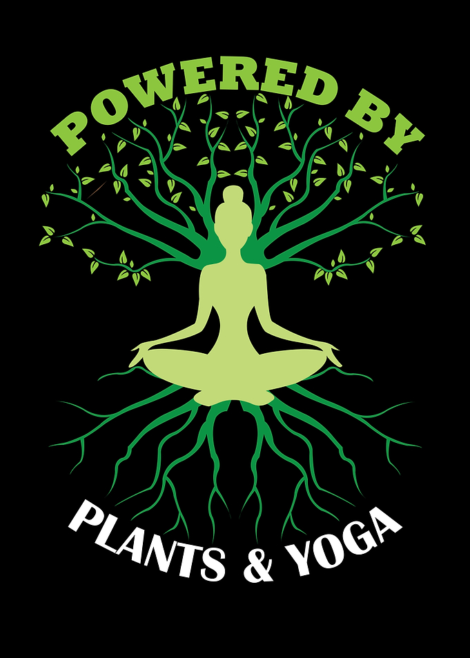 Yoga Outfit Women