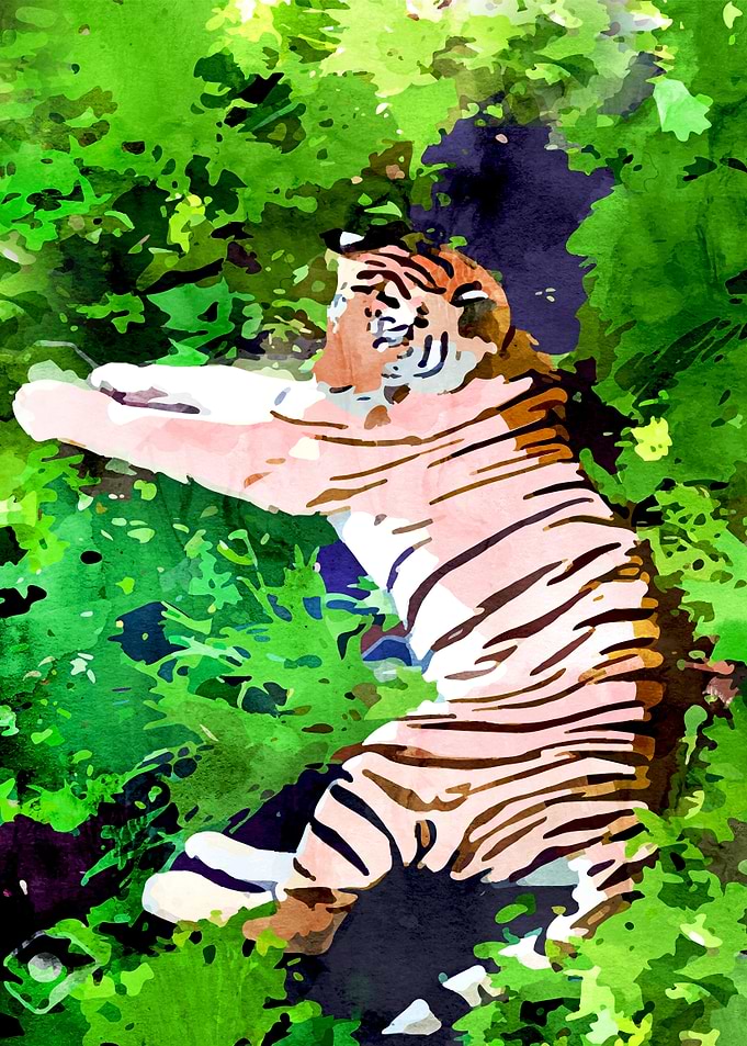 Blush Tiger