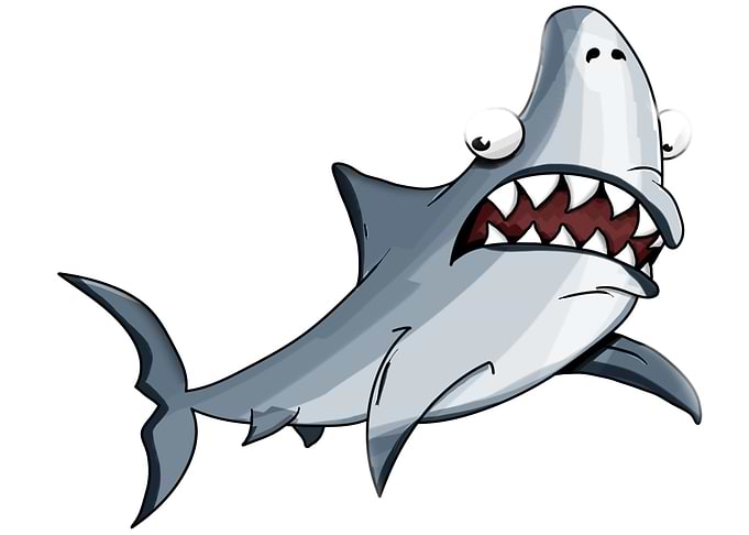 blue shark