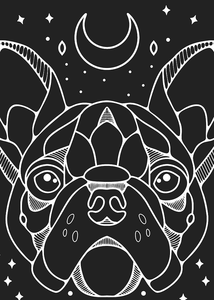 Dog Line Art