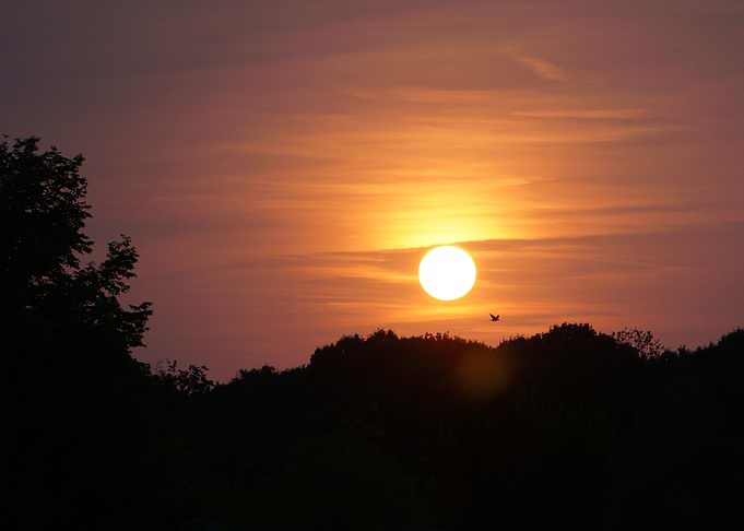 Sunset