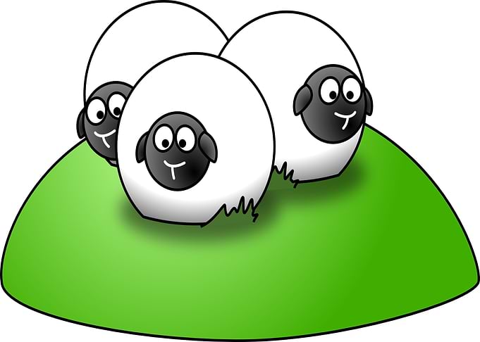 cartoon sheep