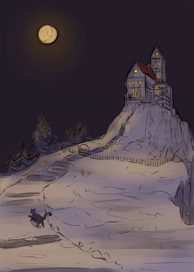 home night moon