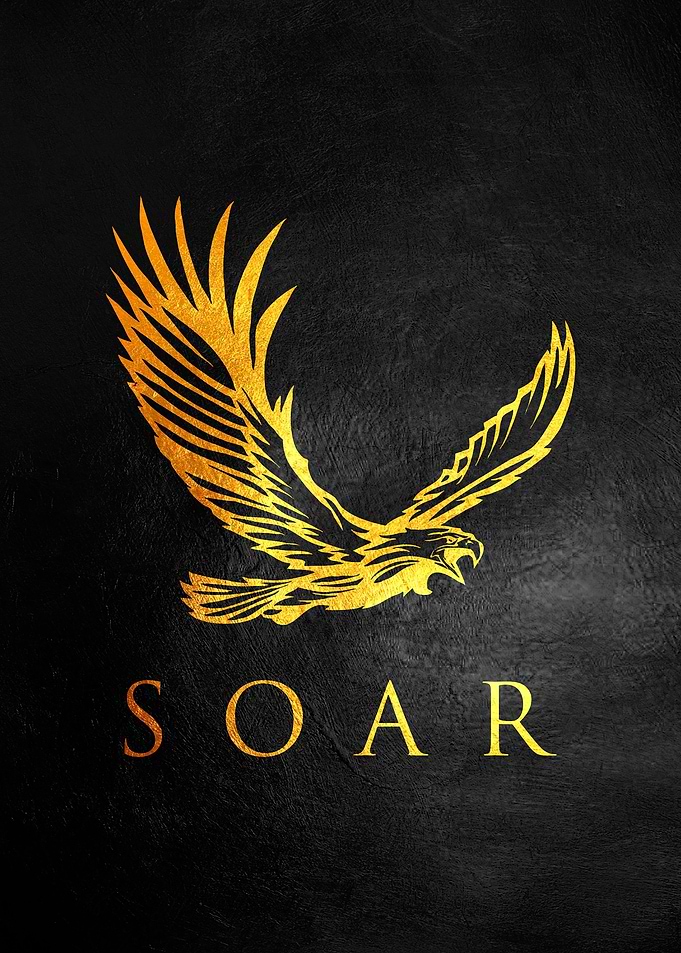 Soaring Eagle
