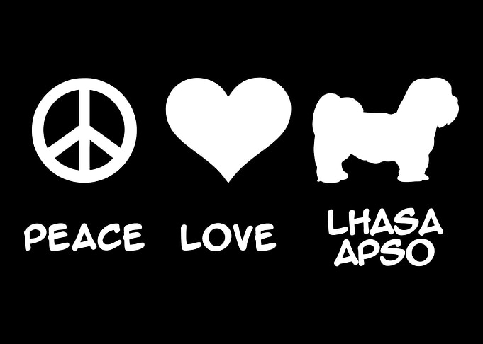 Lhasa Apso