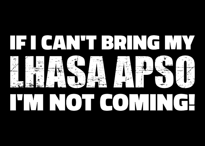 Lhasa Apso
