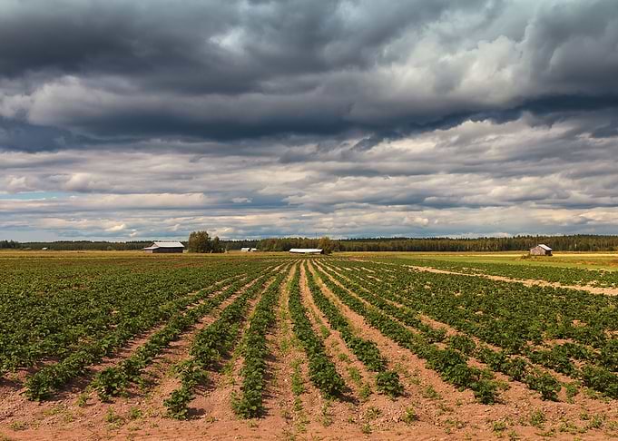 Dark Clouds Over The Field