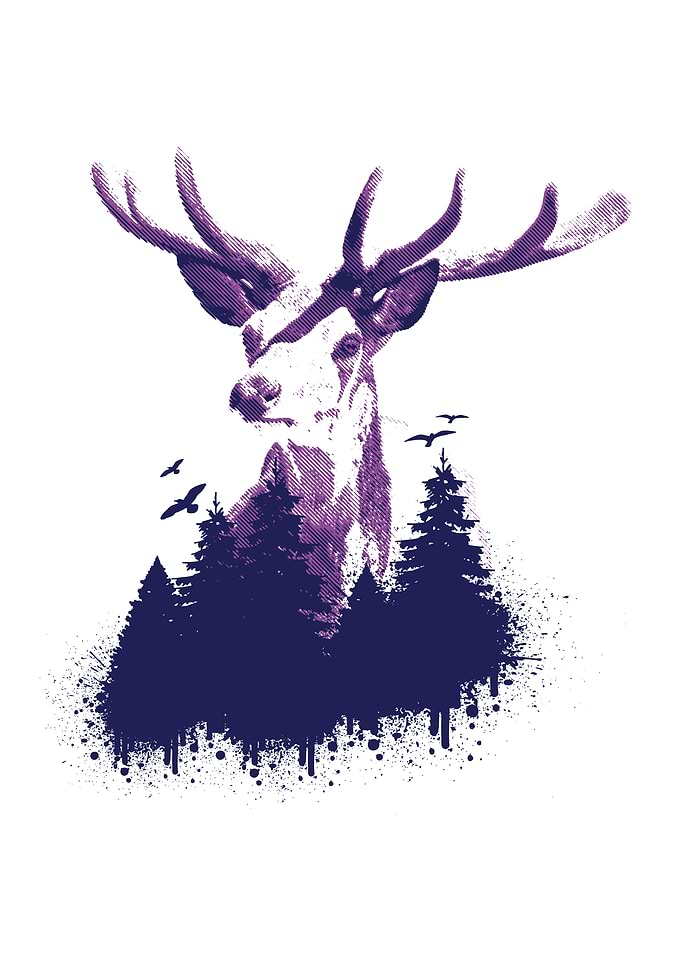 Deer Forest