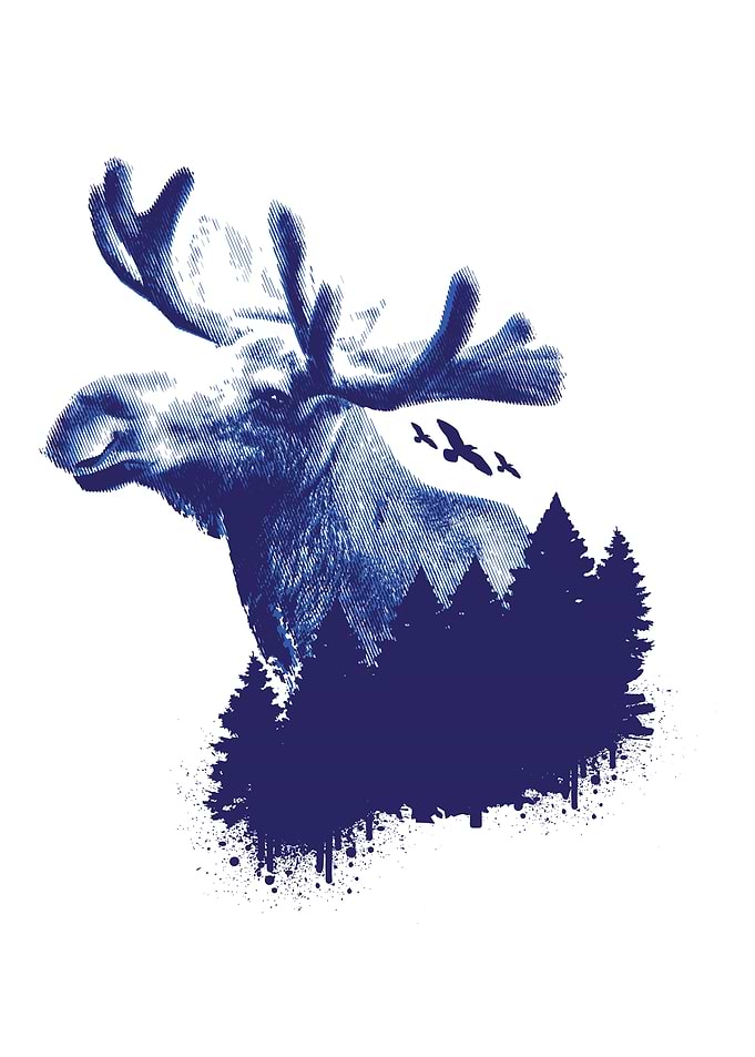 Moose Forest