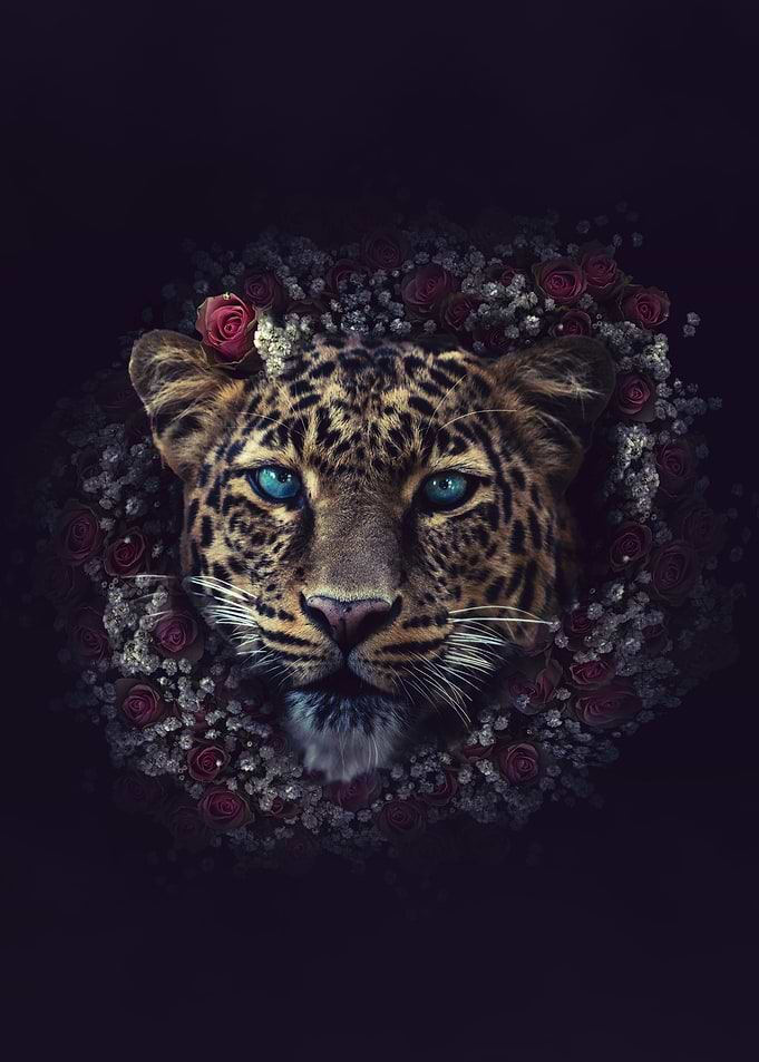 Flower Leopard