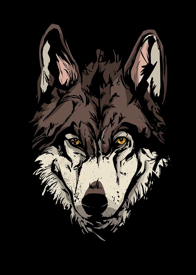 Wolf Face Illustration