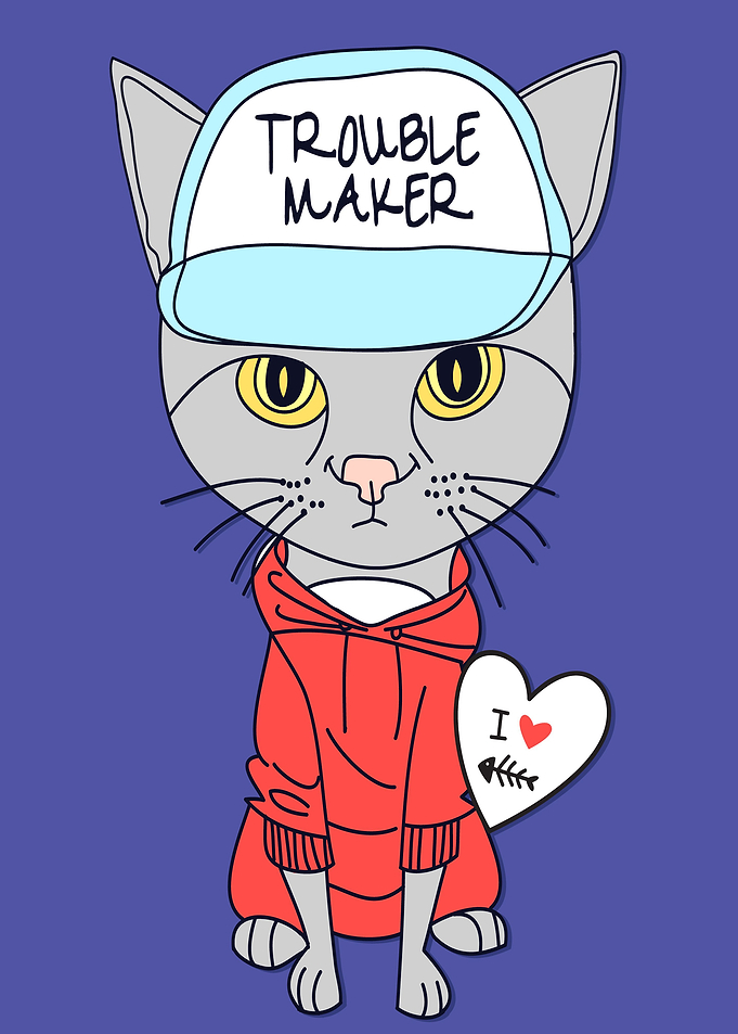 Troublemaker