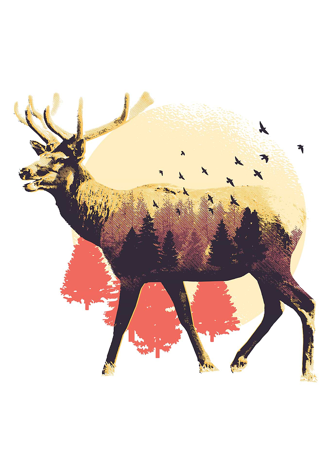 Forest Moose