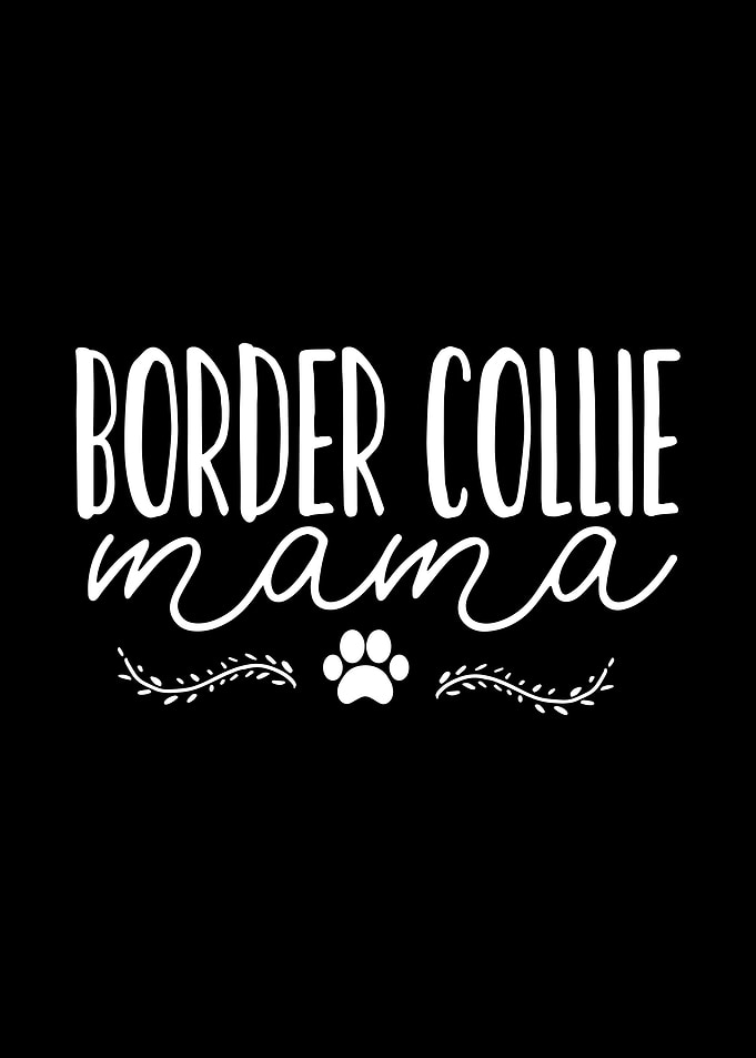 Border Collie Mama Dog Mom
