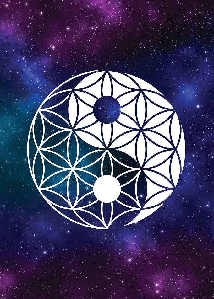 Yin Yang Flower of Life