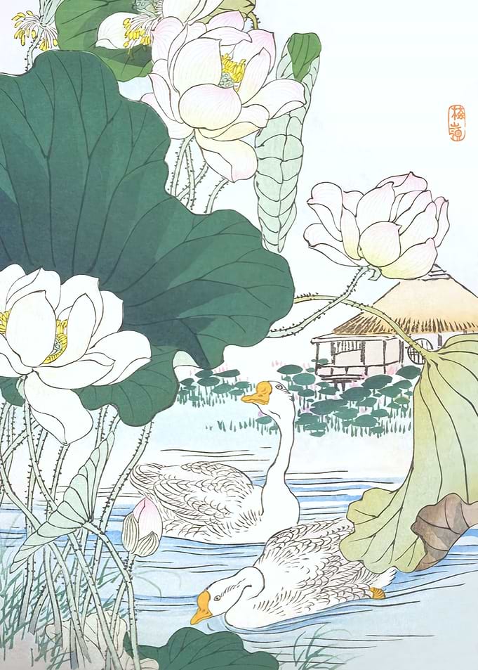 Geese And Lotus Flowers