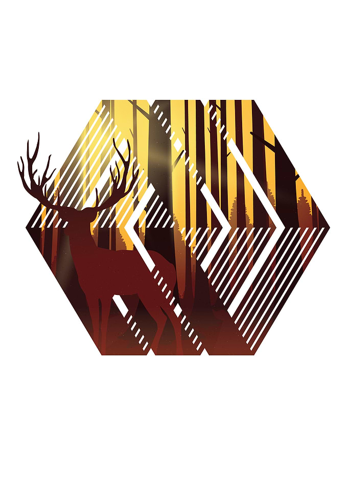 Forest Deer Illustration