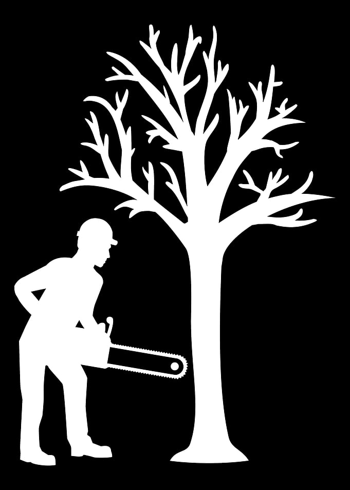 Lumberjack