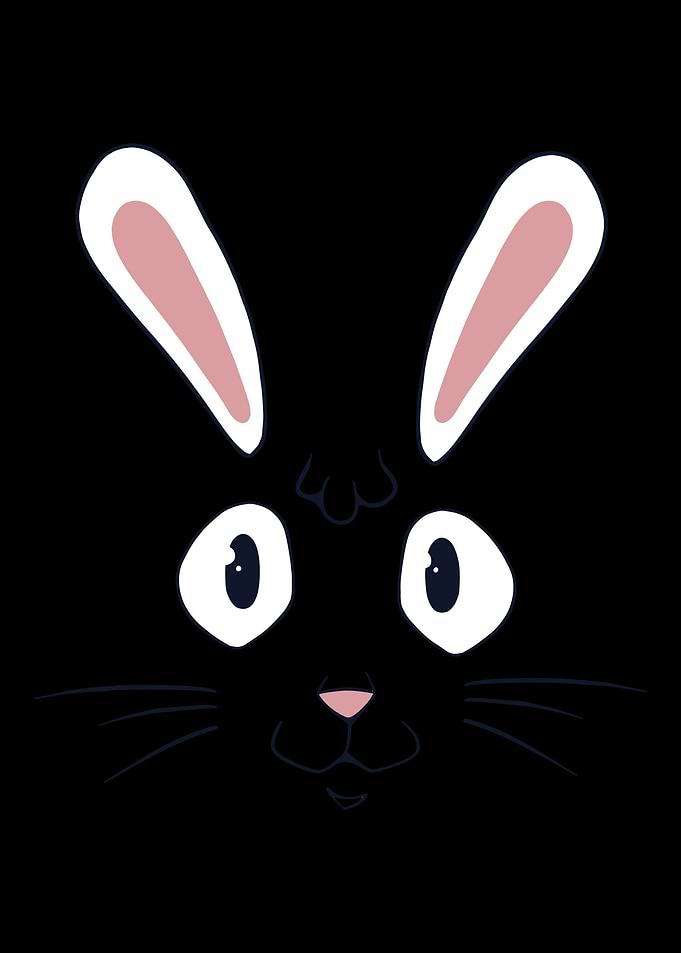 Rabbit nose gift