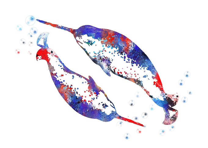 Narwhal