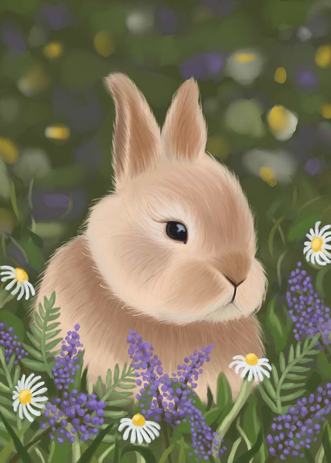 bunny