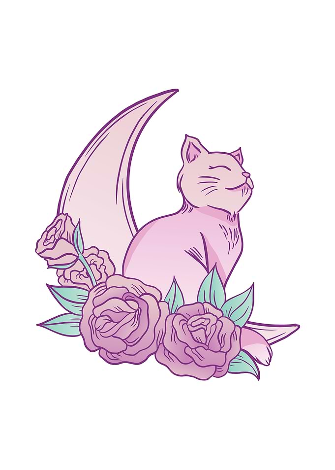 Pink Cat Moon Floral