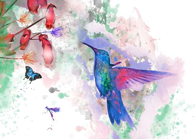 Hummingbird