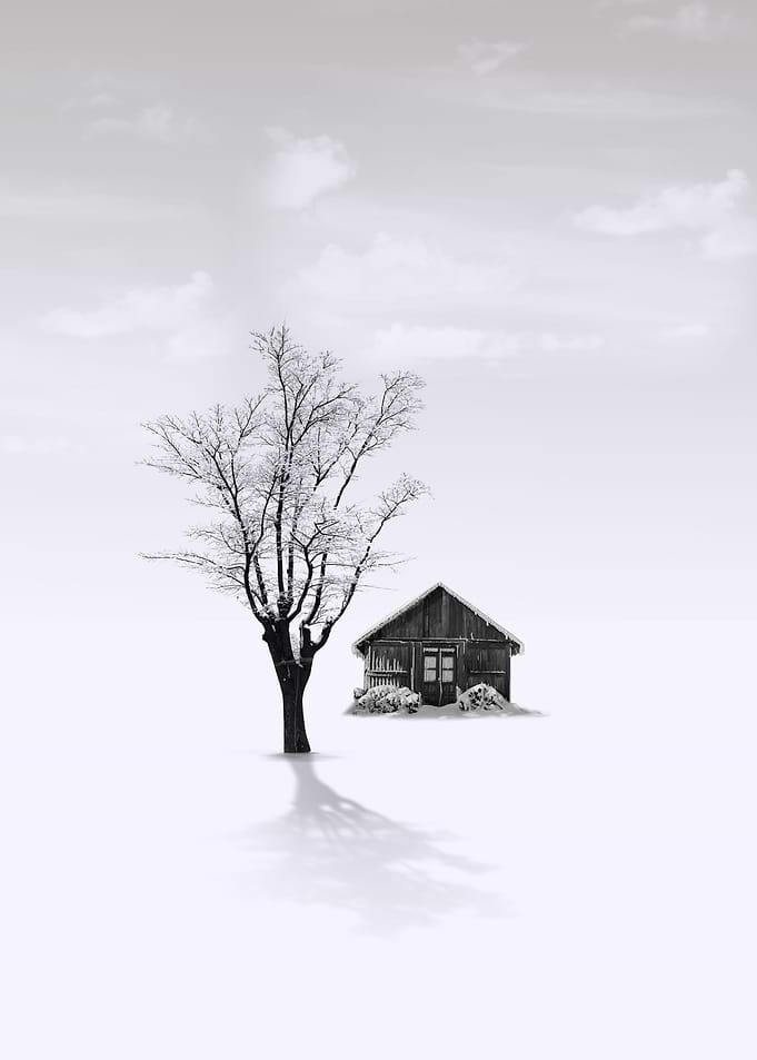 house in the tree
