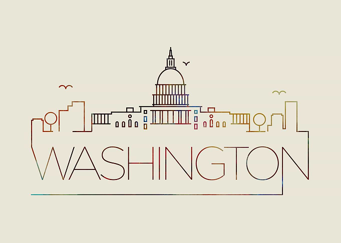 Washington Thin Line City