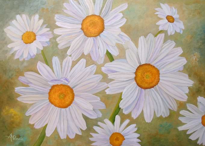 White On Green Daisies