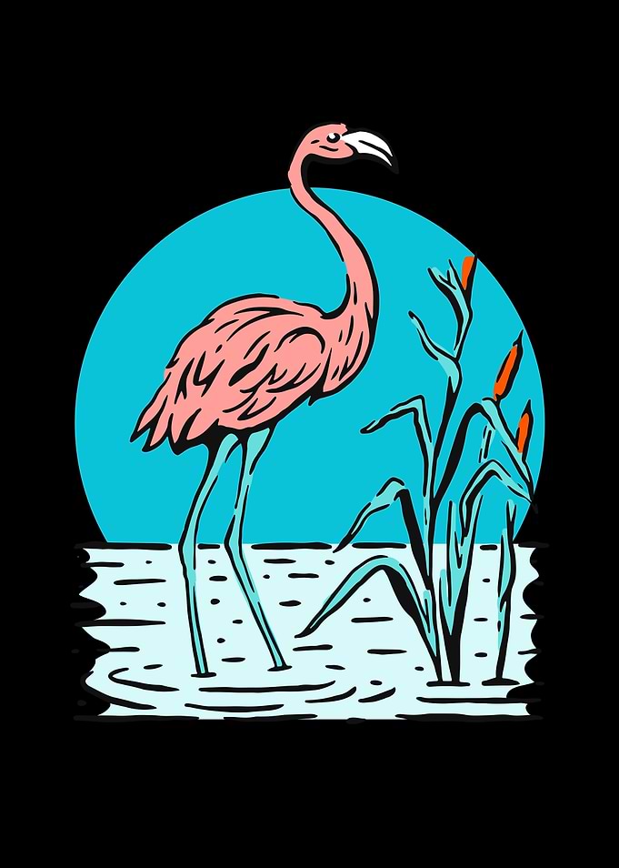 Pink Flamingo Nature