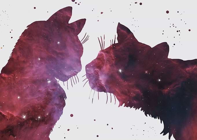 Cats Nebula