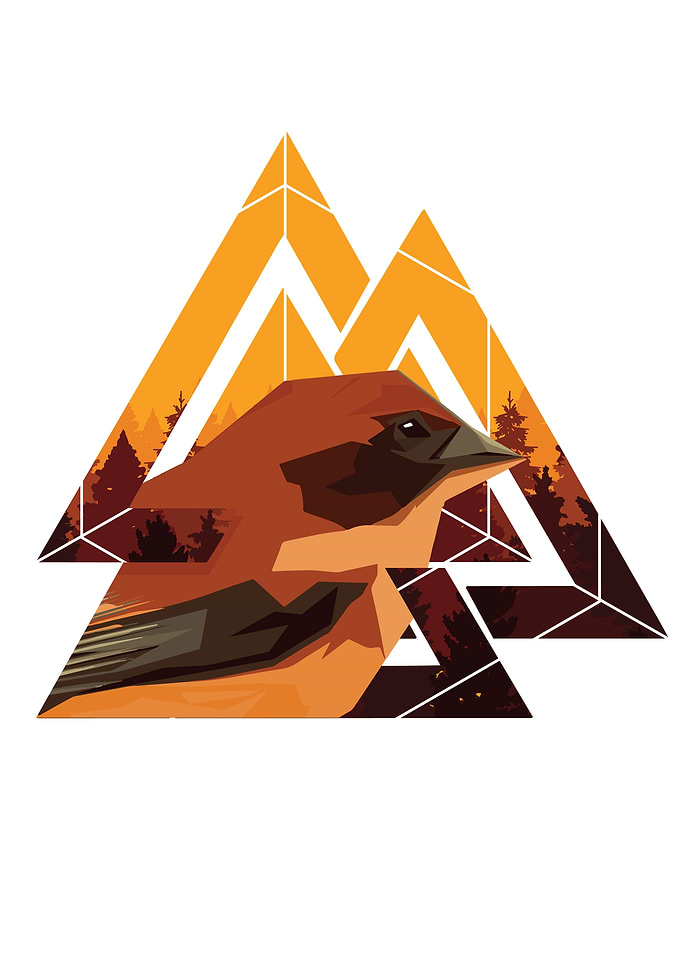 Geometric Bird