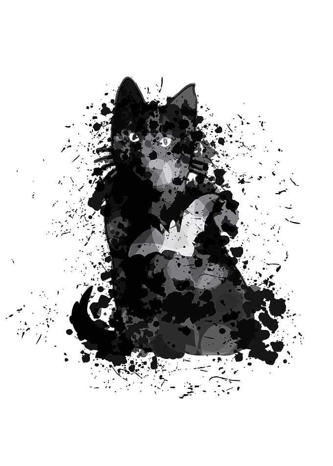 Black Cat Halloween