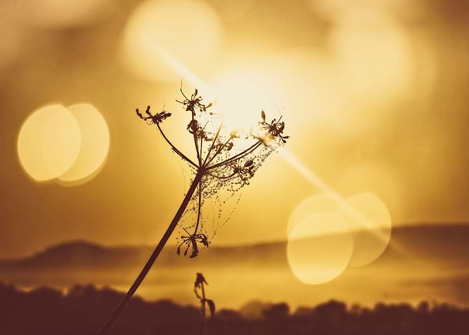 When nature awakens