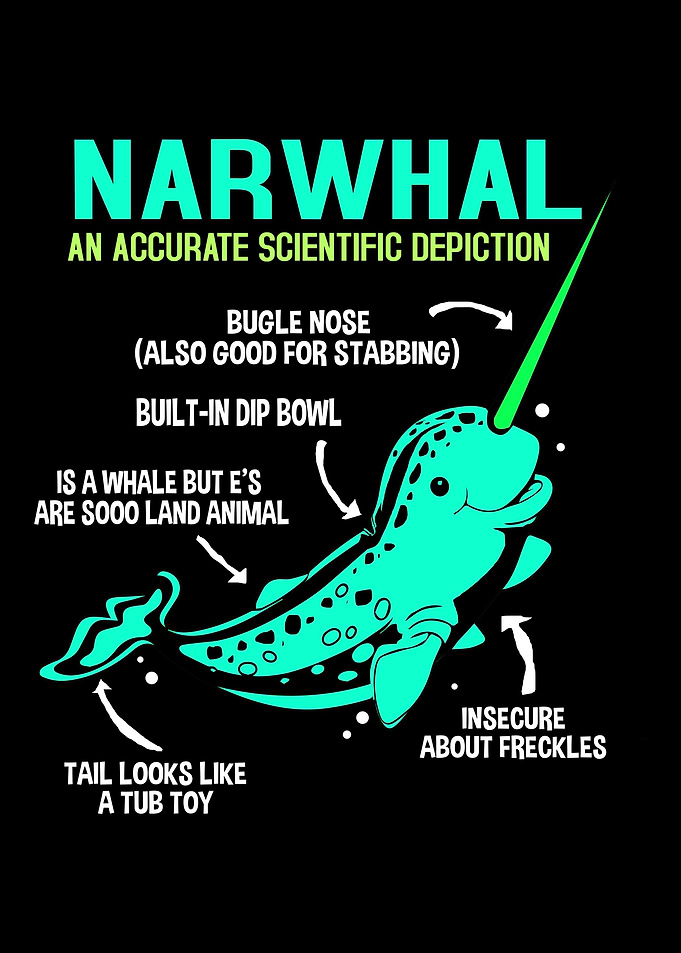 Narwhal Body Parts