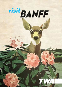 VINTAGE BANFF TWA
