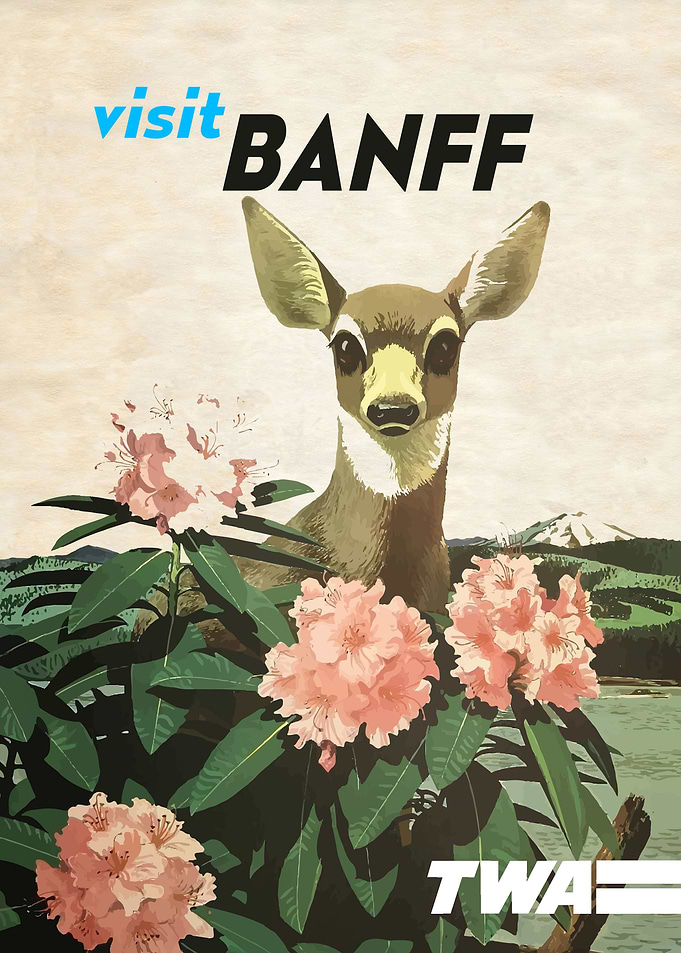 VINTAGE BANFF TWA