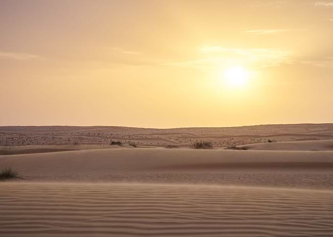 Dunes at dusk