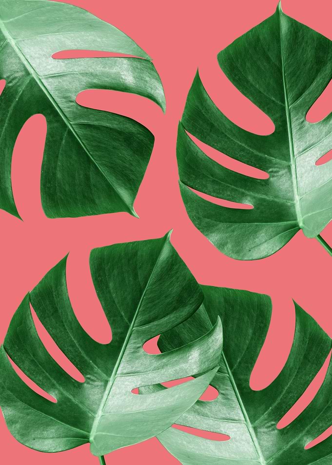 Modern plants V