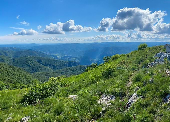 Mountain Top View 2