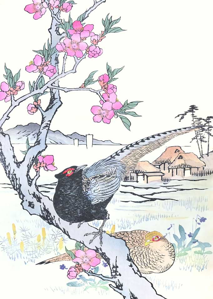 Pheasants On Cherry Tree