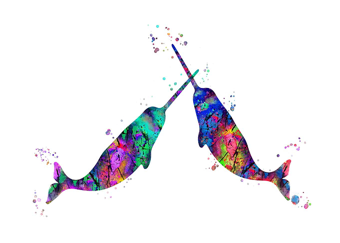Narwhal