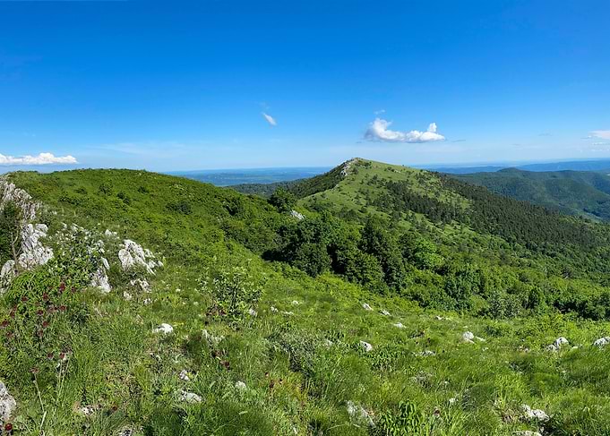 Mountain Top View 1
