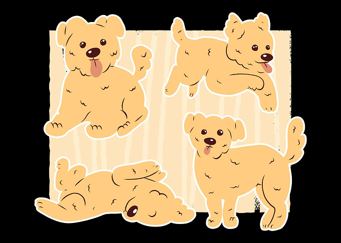 playful dog gift