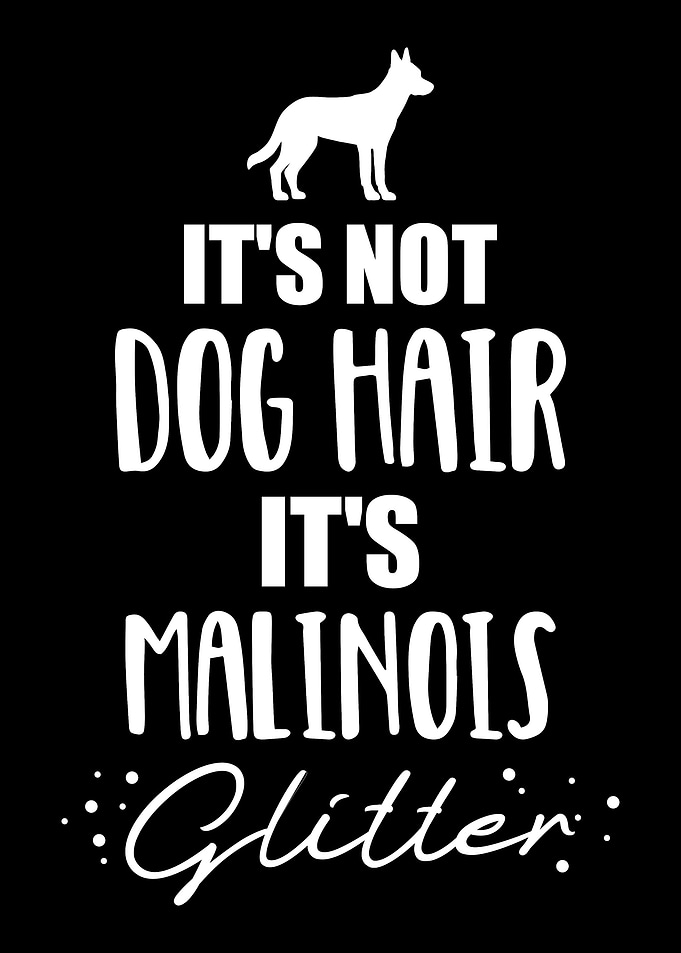 Malinois
