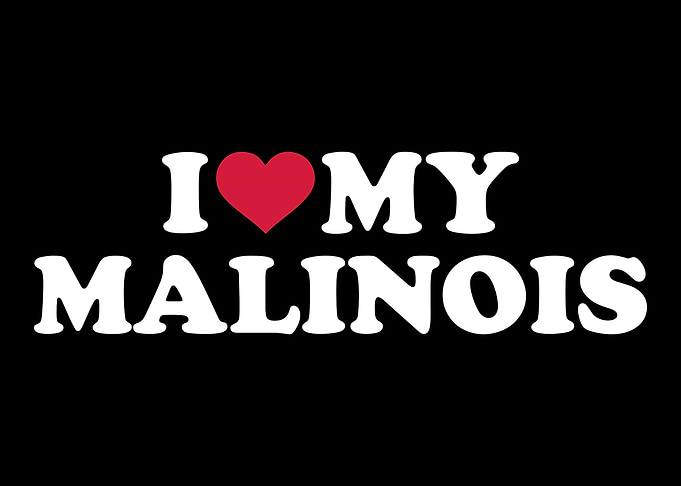 Malinois