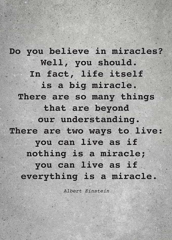 Albert Einstein Quote L040